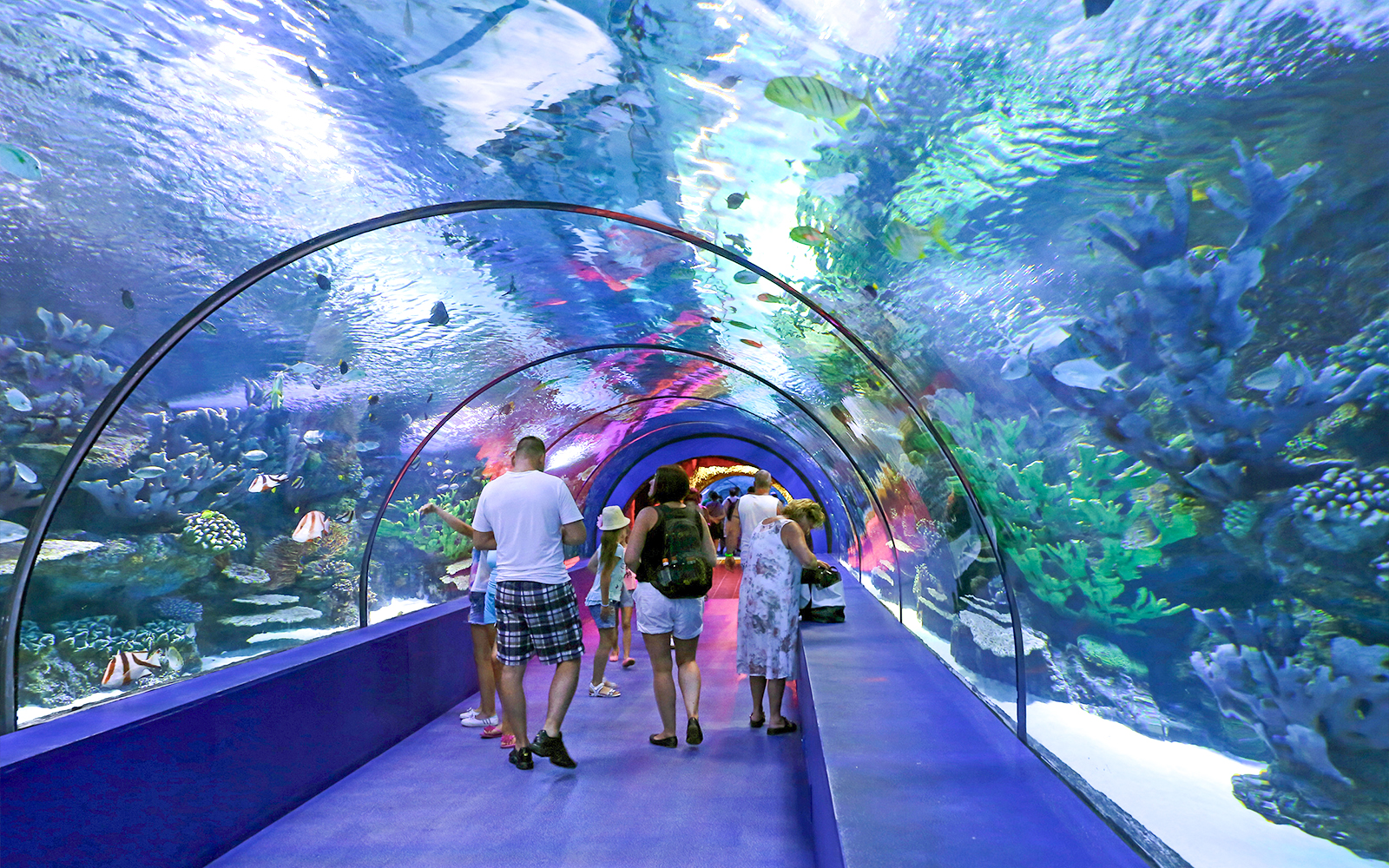 Underwater Tunnel at the Antalya Aquarium