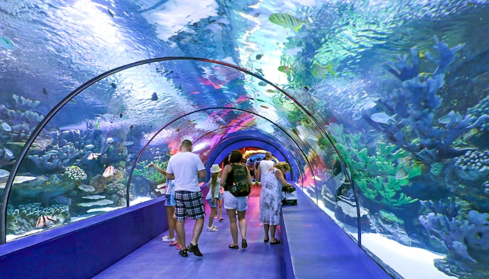 Underwater Tunnel at the Antalya Aquarium