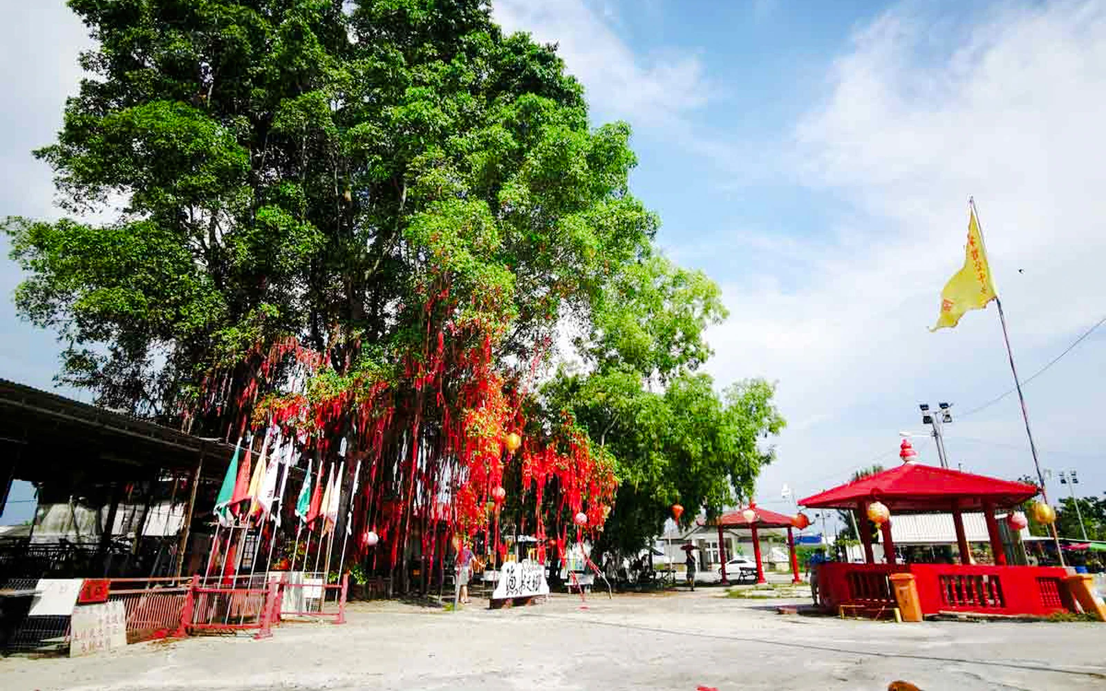 Kuala Selangor: Sky Mirror & Sekinchan Rice Fields Tour With Transfers Image 2