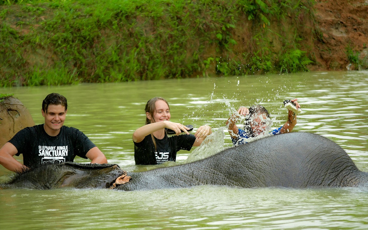 Tourists bathing elephants at Elephant Jungle Sanctuary in Phuket.