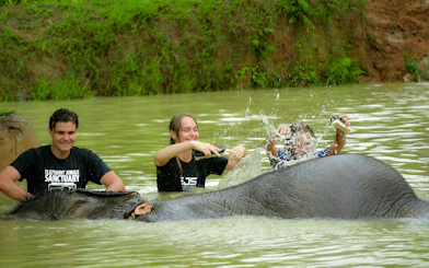 Tourists bathing elephants at Elephant Jungle Sanctuary in Phuket.