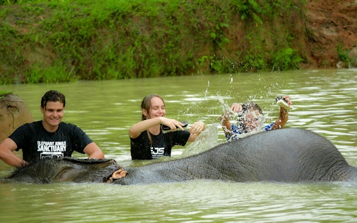 Tourists bathing elephants at Elephant Jungle Sanctuary in Phuket.