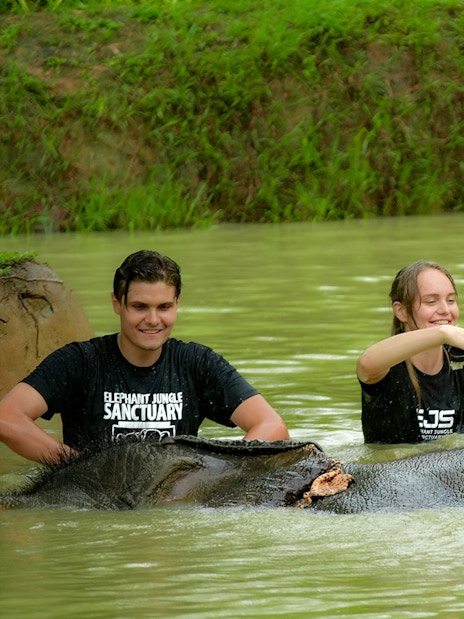 Tourists bathing elephants at Elephant Jungle Sanctuary in Phuket.