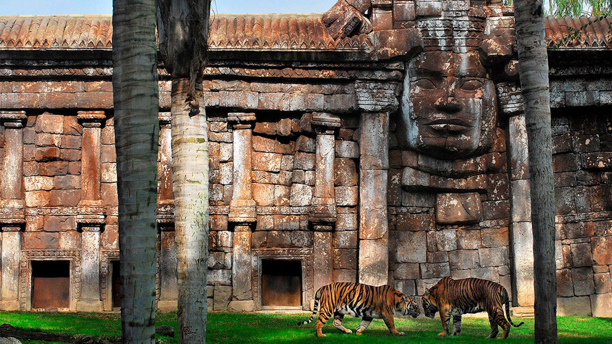 The Visionary Behind Bioparc Valencia