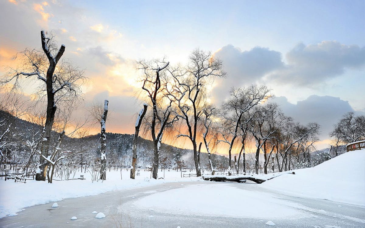 day trip to vivaldi park ski world & nami island from seoul-6 day trip to vivaldi park ski world & nami island from seoul-6