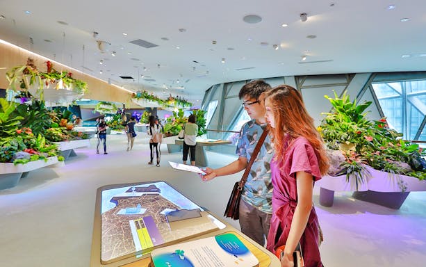 Visitors engaging with interactive displays at Changi Experience Studio, surrounded by hanging gardens.