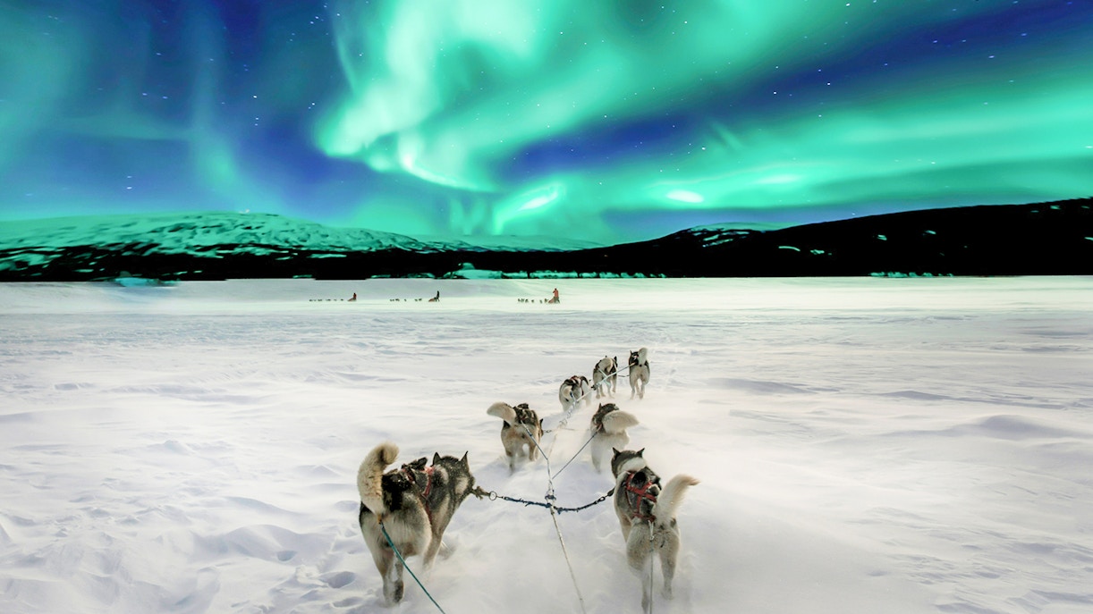 Dog sledding under Northern Lights in Tromso, Norway.