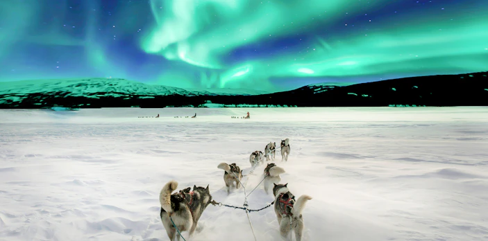 Dog sledding under Northern Lights in Tromso, Norway.