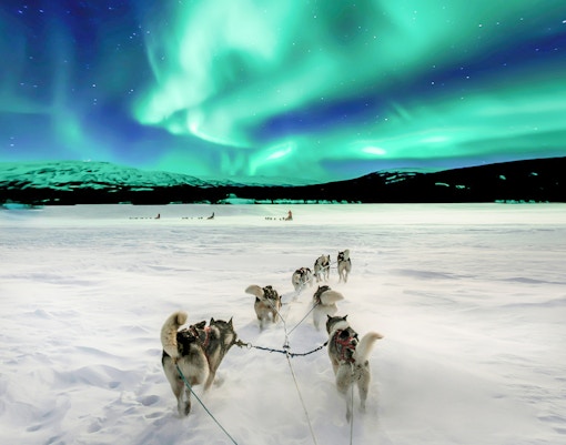 Dog sledding under Northern Lights in Tromso, Norway.