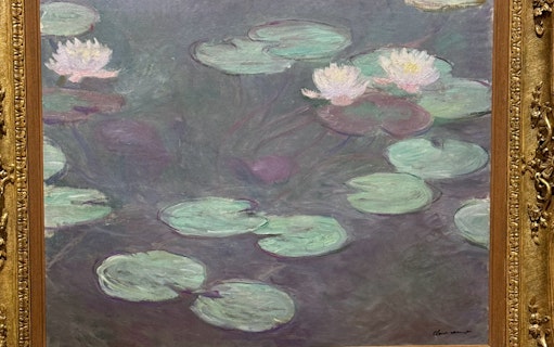 Water lilies painting by Claude Monet at Galleria Arte Moderna Nazionale.