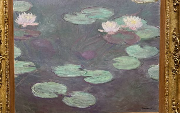 Water lilies painting by Claude Monet at Galleria Arte Moderna Nazionale.