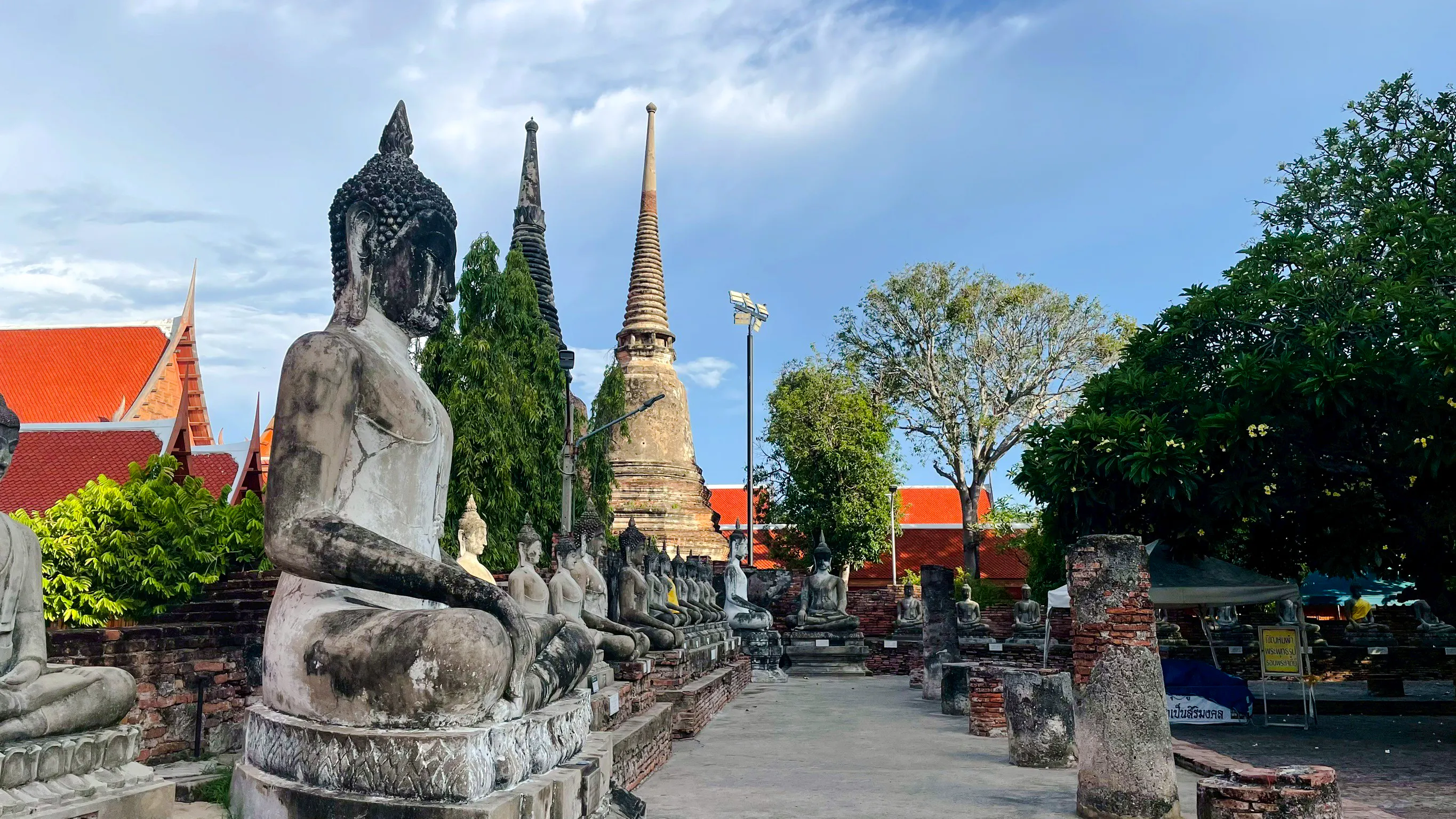 fra bangkok: dagstur til ayutthaya historiske park med tysktalende guide-1