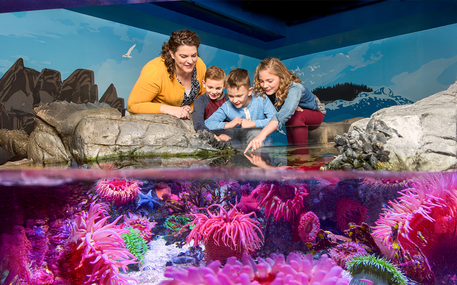 Children exploring rock pool at Sea Life Aquarium, Orlando.