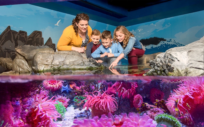 Children exploring rock pool at Sea Life Aquarium, Orlando.