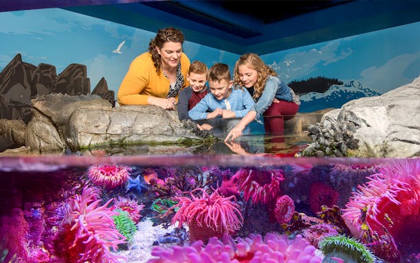 Children exploring rock pool at Sea Life Aquarium, Orlando.