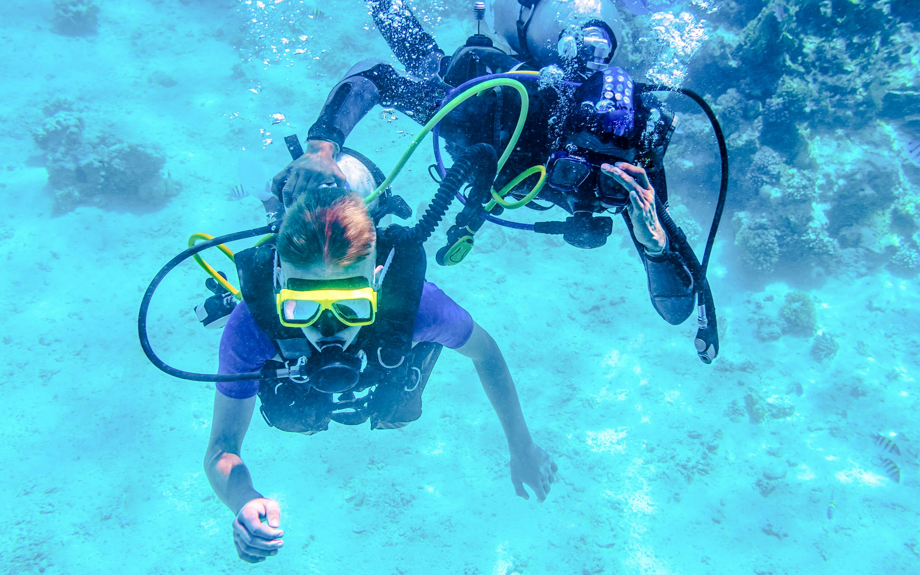 Snorkelers exploring coral reefs in Kealakekua Bay, Big Island.