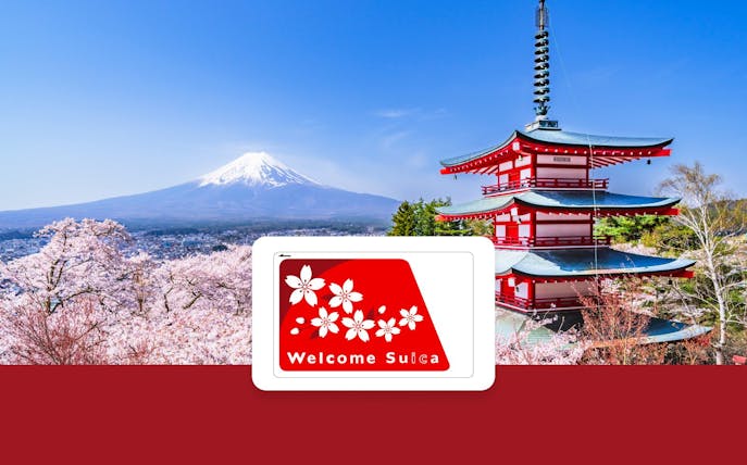 Welcome Suica IC Card with Mount Fuji and Chureito Pagoda in spring.