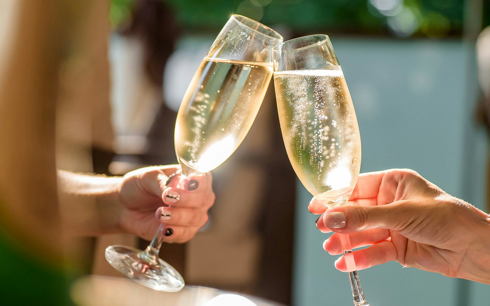 Guests toasting with champagne
