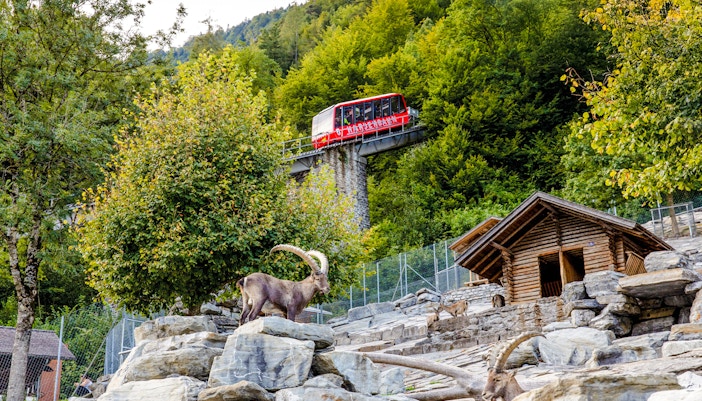 the Harder Kulm funicular