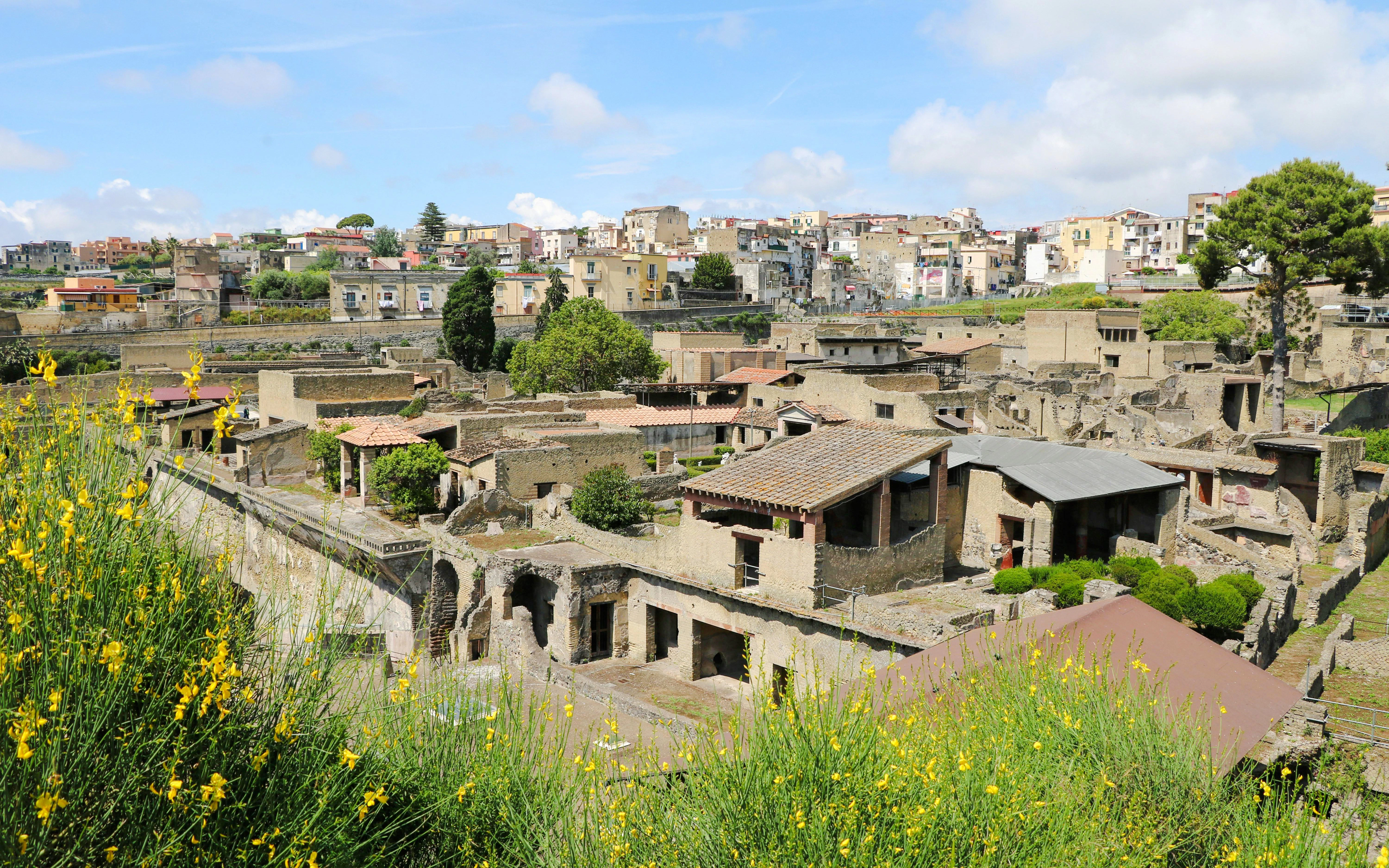 Herculaneum ruins with view of ancient structures and surrounding town.