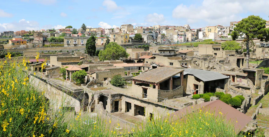 Herculaneum ruins with view of ancient structures and surrounding town.