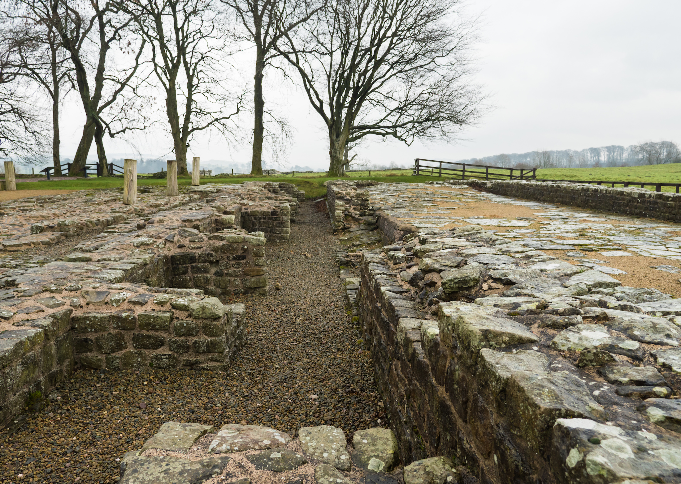 Delving into Chester's Roman Fort & Museum
