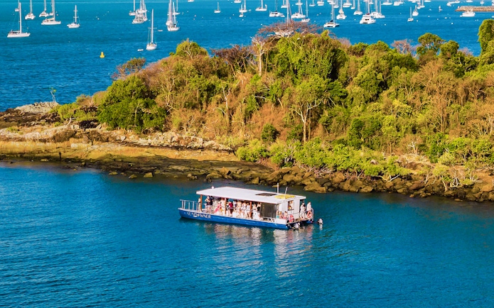 Aerial view of a sundowner cruise near lush island, Airlie Beach, with sailboats in the background.