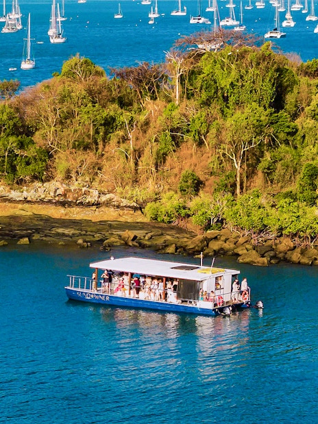 Aerial view of a sundowner cruise near lush island, Airlie Beach, with sailboats in the background.
