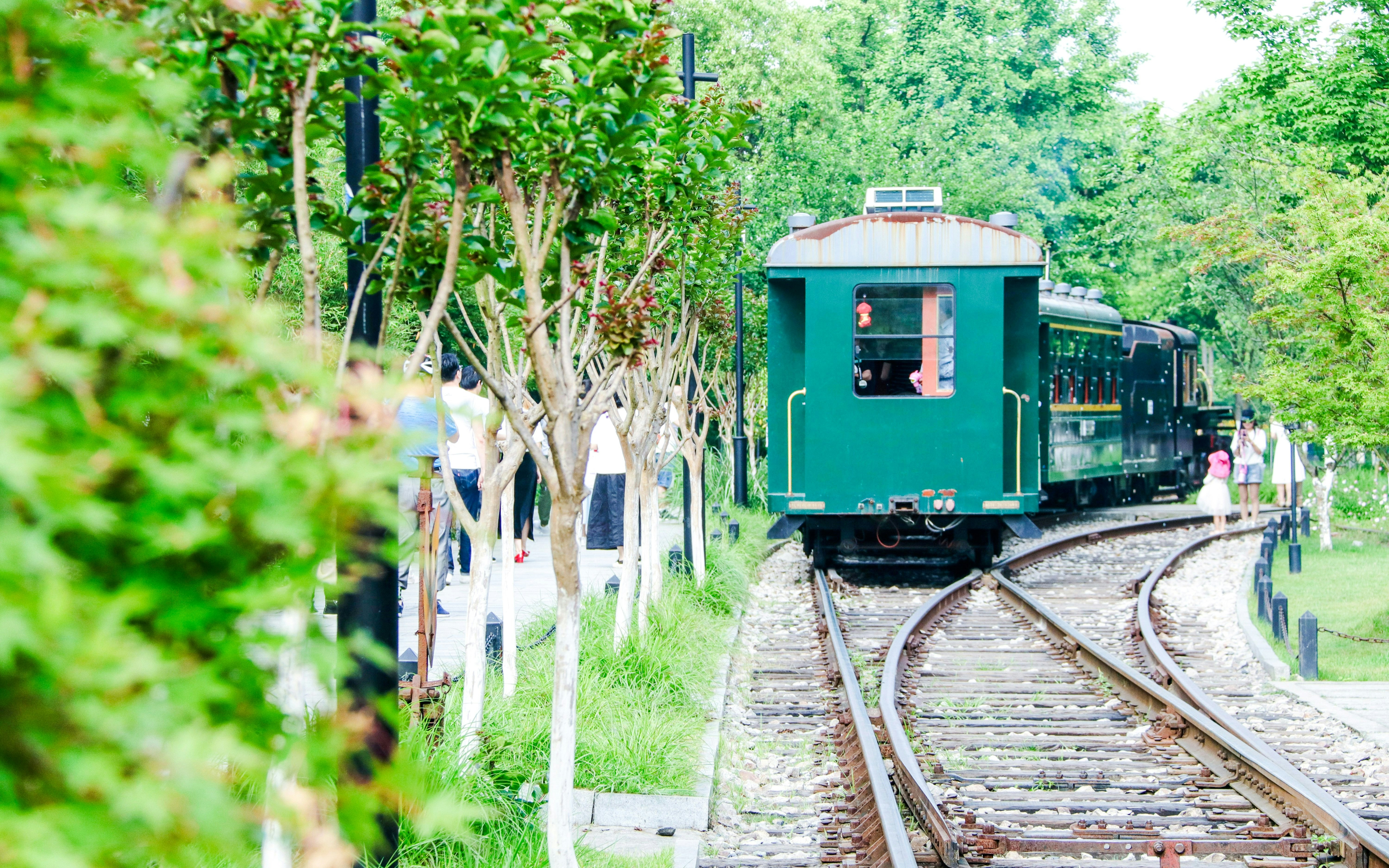 Versailles Mini-Train traveling through lush green gardens.