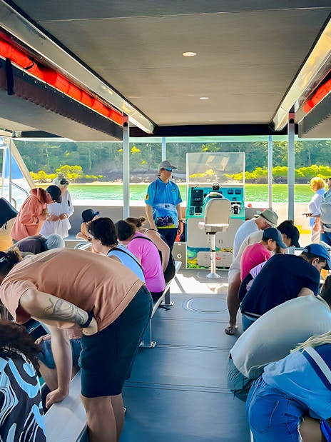 People observing marine life through a glass bottom boat in the Whitsundays.