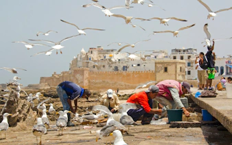 essaouira guided walking tour: skala du port, medina ramparts and fish market-6