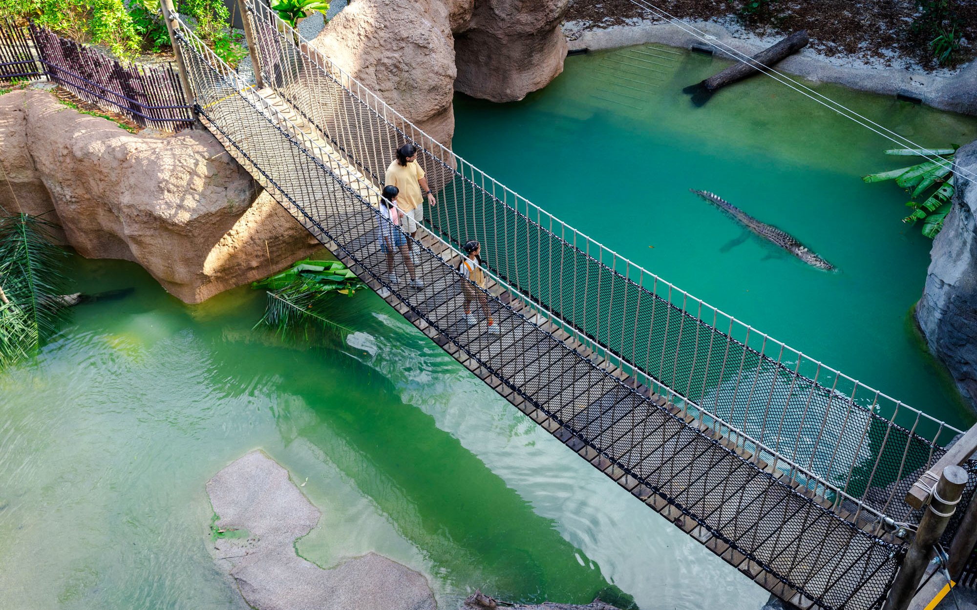 Visitors crossing a suspension bridge over a crocodile in a rainforest setting.