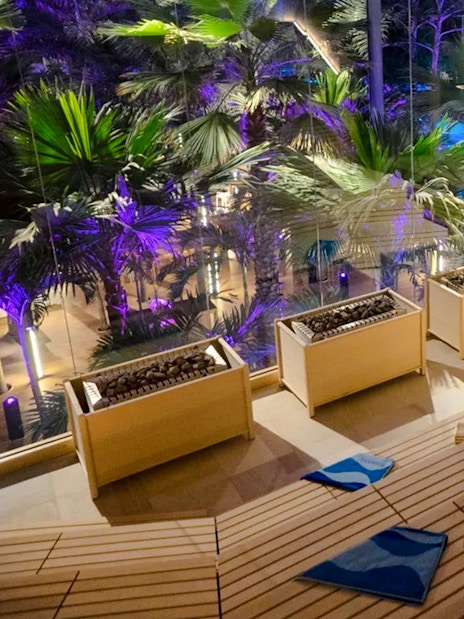 Therme Bucharest sauna interior with tropical plants and night lighting.
