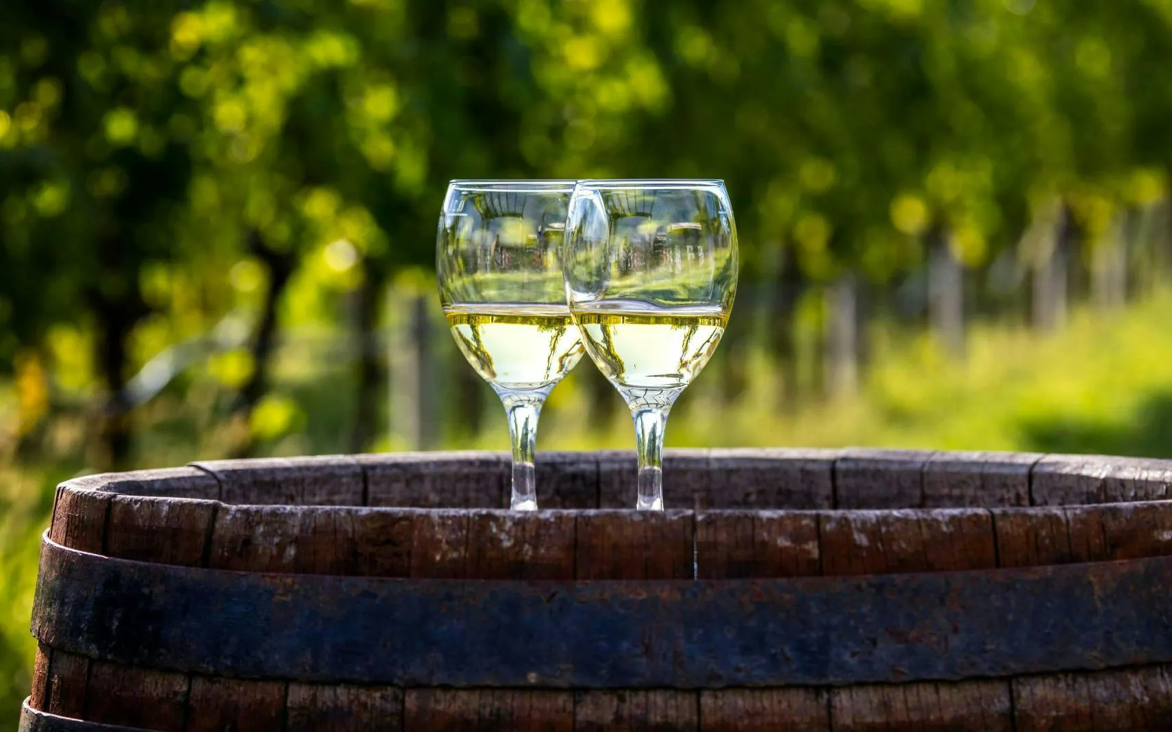 Majorca Winery Visit with Wine and Local Food Tasting