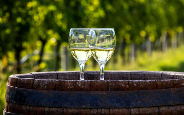 Majorca Winery Visit with Wine and Local Food Tasting