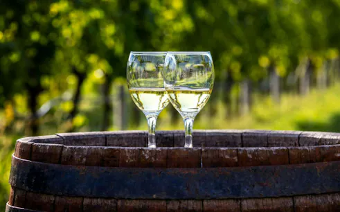 Two wine glasses on a barrel in a Majorca winery vineyard.