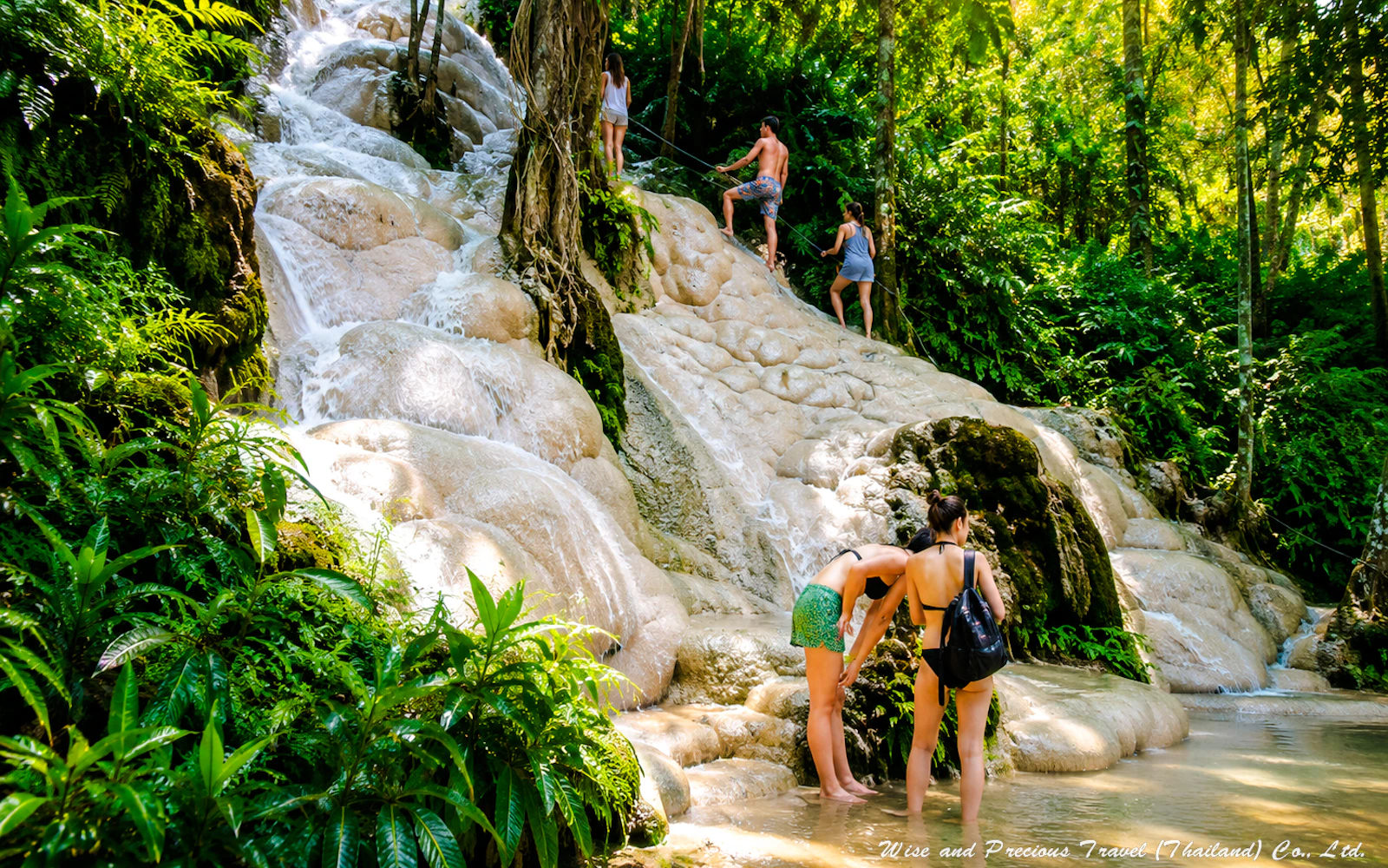 From Chiang Mai: Sticky Waterfall Tour with Private Driver