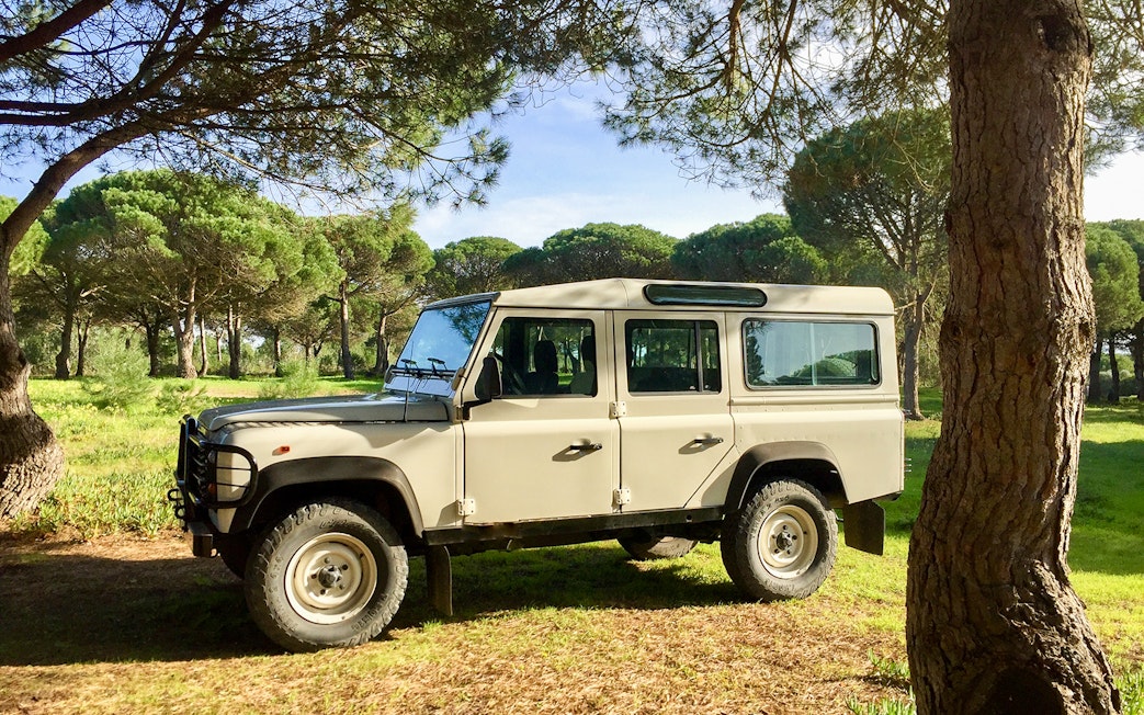 4x4 Jeep parked in a forest setting, part of Cape Espichel guided tour.