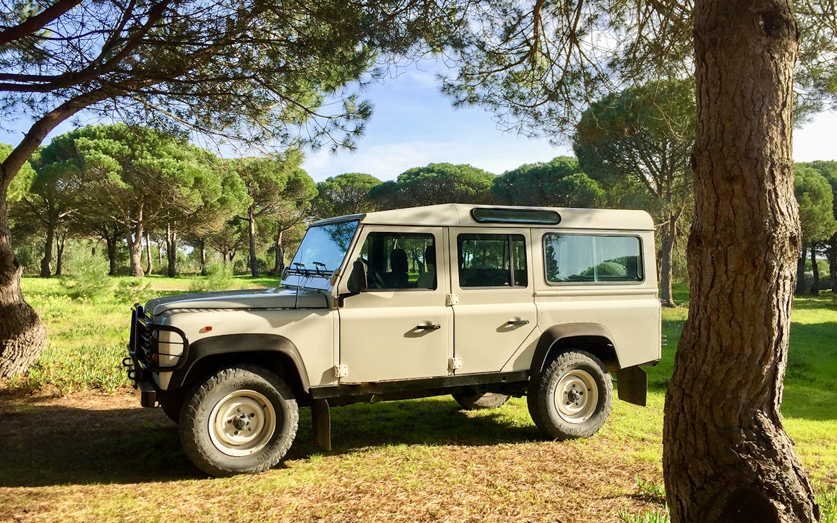 4x4 Jeep parked in a forest setting, part of Cape Espichel guided tour.