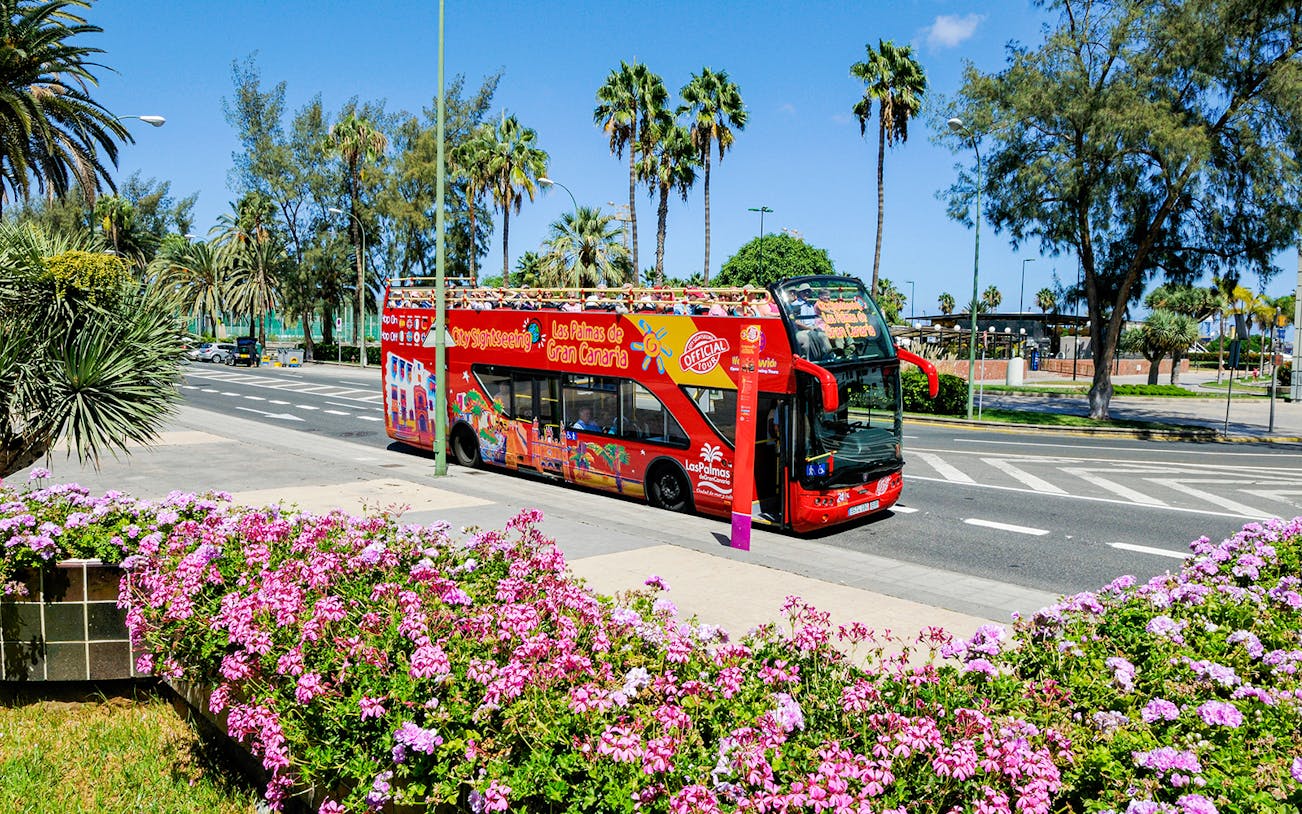 Red double-decker bus on Las Palmas street with palm trees and flowers, part of 24-hour hop-on hop-off tour.