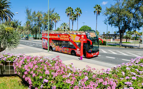Red double-decker bus on Las Palmas street with palm trees and flowers, part of 24-hour hop-on hop-off tour.