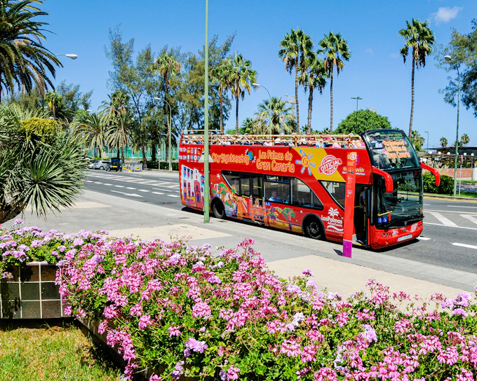 City Sightseeing: Las Palmas Hop-on Hop-off Bus Tour