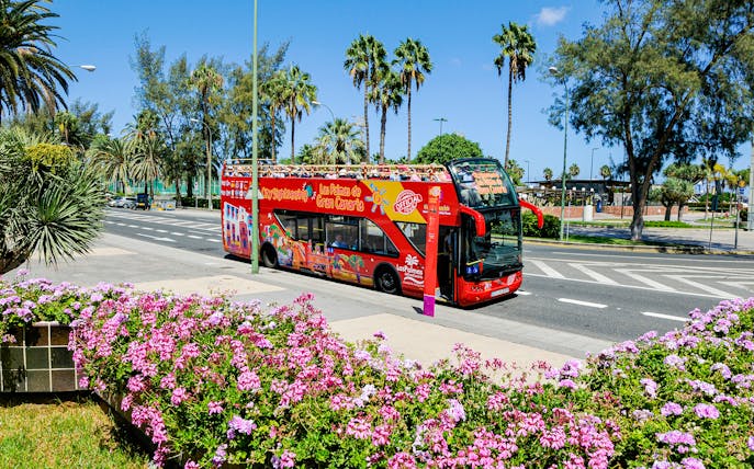 Red double-decker bus on Las Palmas street with palm trees and flowers, part of 24-hour hop-on hop-off tour.