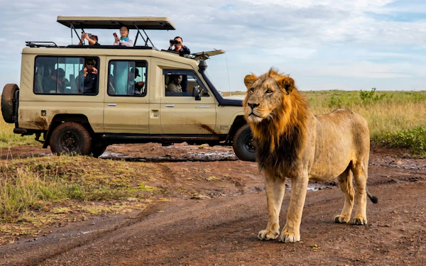 From Nairobi: 3-Day Masai Mara Safari With Stays, and Entry Fees