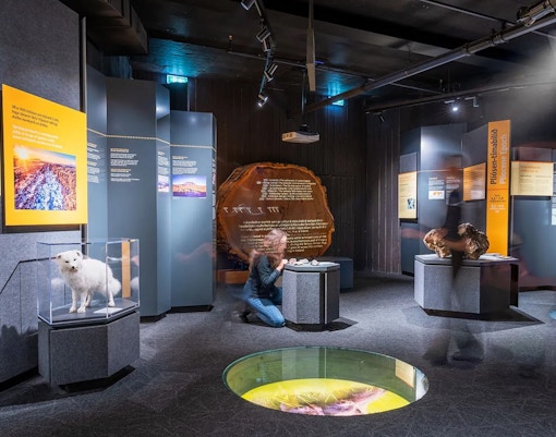 Wildlife Wonderland at Perlan Museum