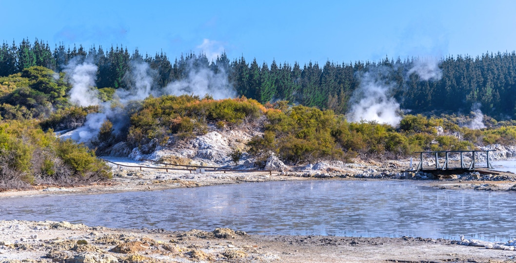 Hell's Gate Geothermal Reserve steaming mud pools and geothermal activity in Rotorua, New Zealand.