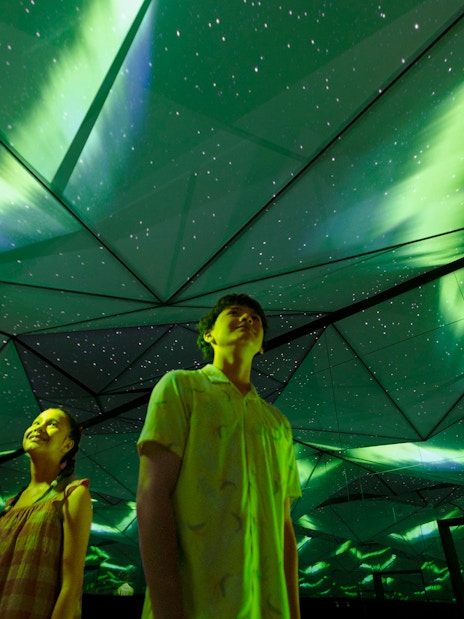 Visitors under simulated Northern Lights at Exploria's Arctic zone, Mandai Wildlife.