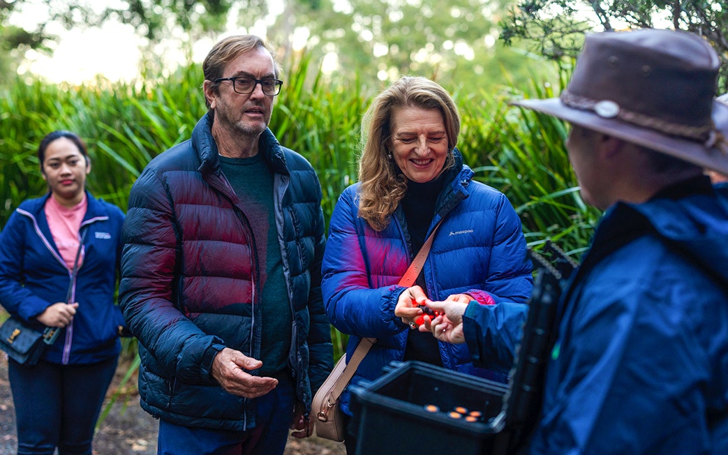 Tour group receiving instructions for Evening Rainforest & Glow Worm Experience.