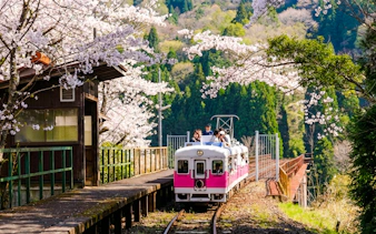fukuoka'dan: takachiho kanyonu ve amaterasu demiryolu turu-7