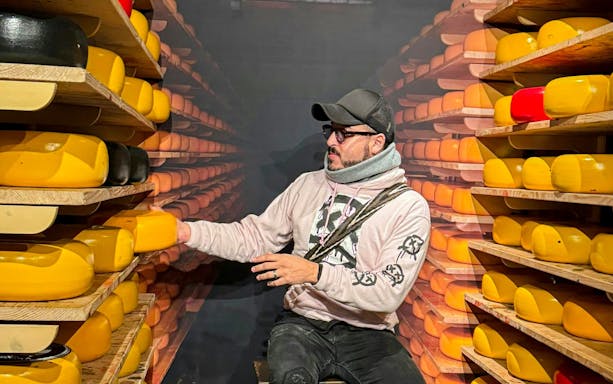 Cheese tasting room with shelves of cheese wheels on the Zaanse Schans Volendam and Giethoorn Tour.